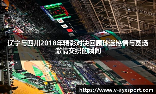 辽宁与四川2018年精彩对决回顾球迷热情与赛场激情交织的瞬间